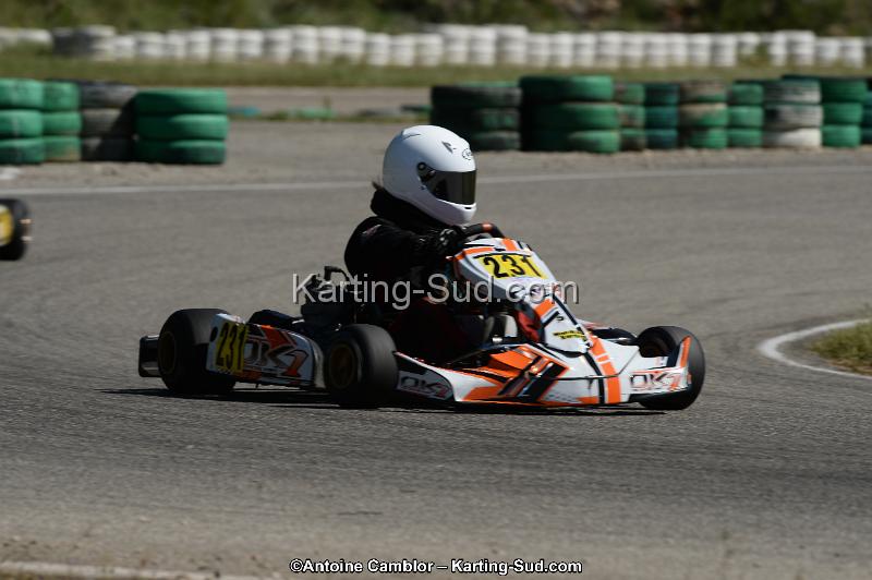 DSC_9531.jpg