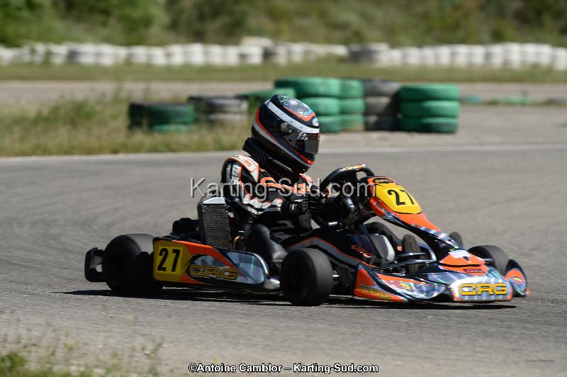 DSC_9532.jpg