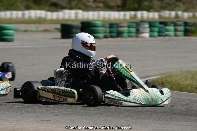DSC_9533.jpg