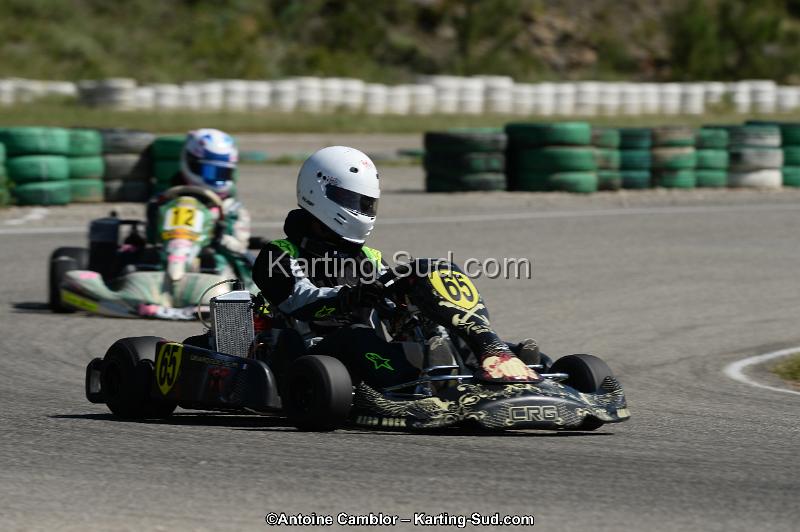 DSC_9535.jpg