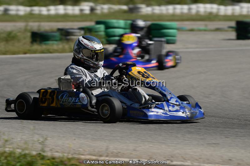 DSC_9537.jpg