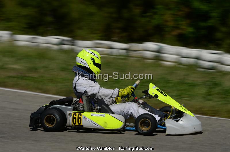 DSC_9542.jpg