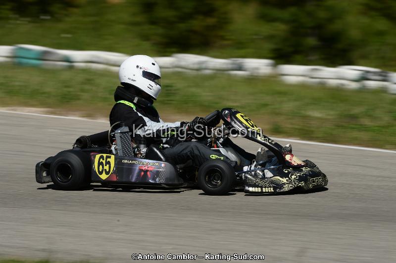 DSC_9561.jpg
