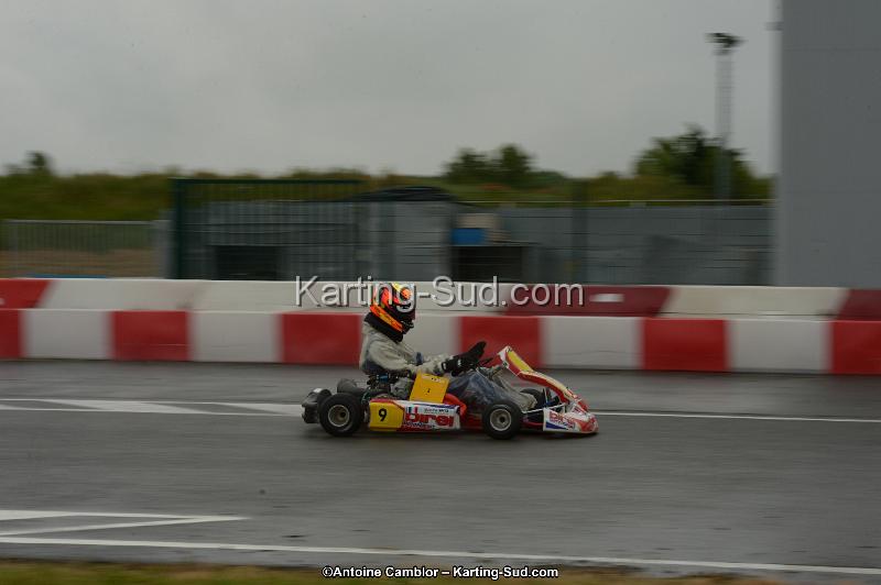 DSC_0385.jpg