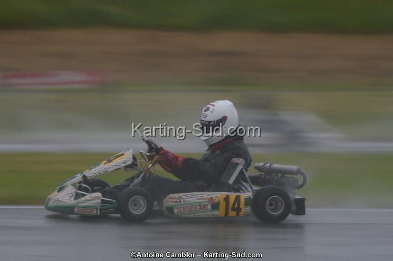 DSC_1997.jpg