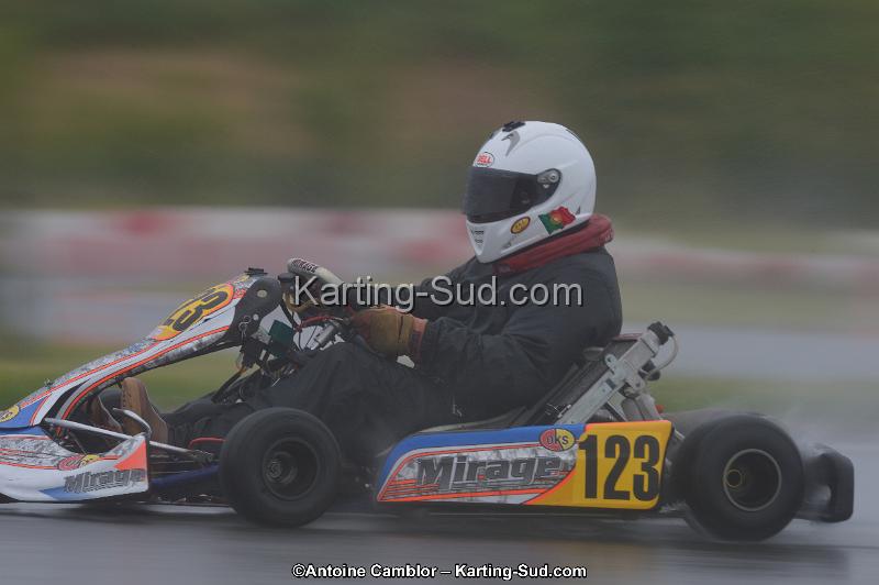 DSC_2009.jpg