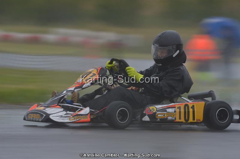 DSC_2018.jpg