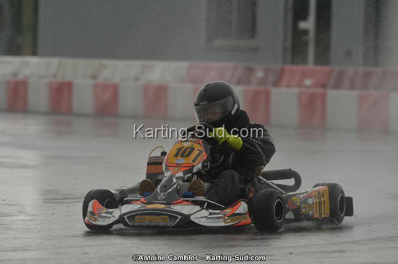 DSC_2308.jpg