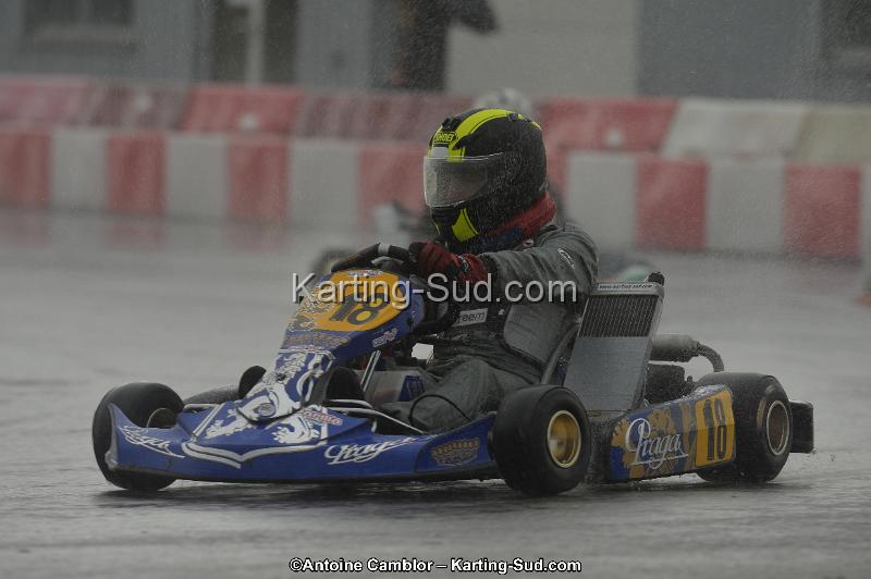 DSC_2310.jpg