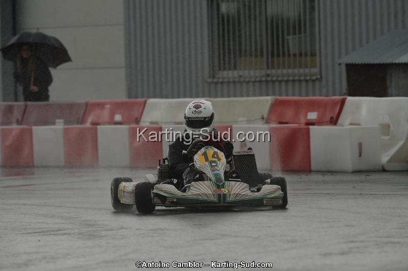 DSC_2323.jpg