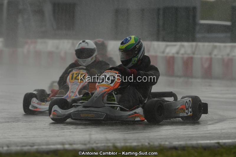 DSC_2367.jpg