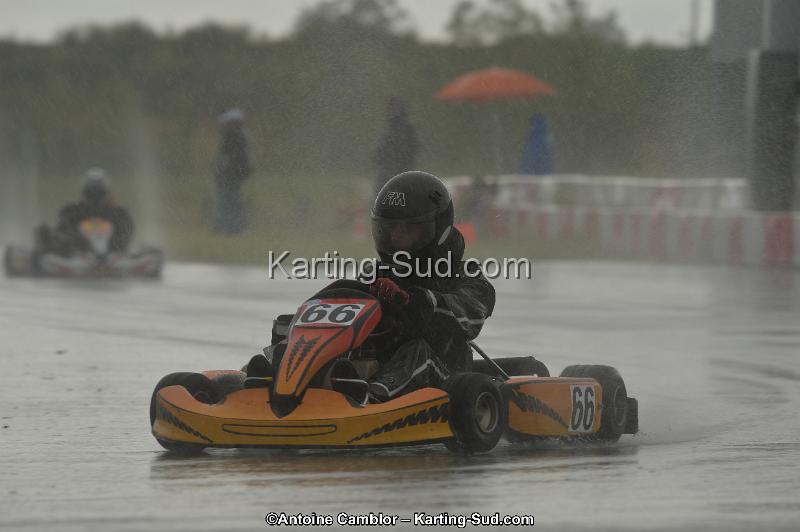 DSC_2382.jpg
