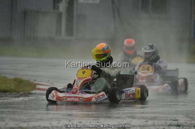 DSC_2398.jpg