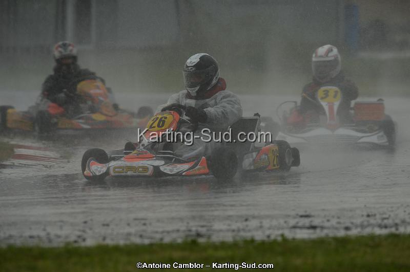 DSC_2413.jpg