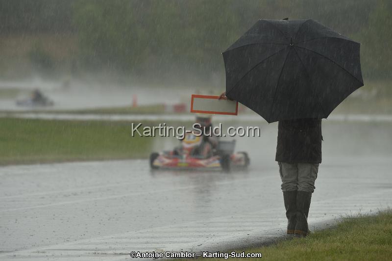 DSC_2498.jpg