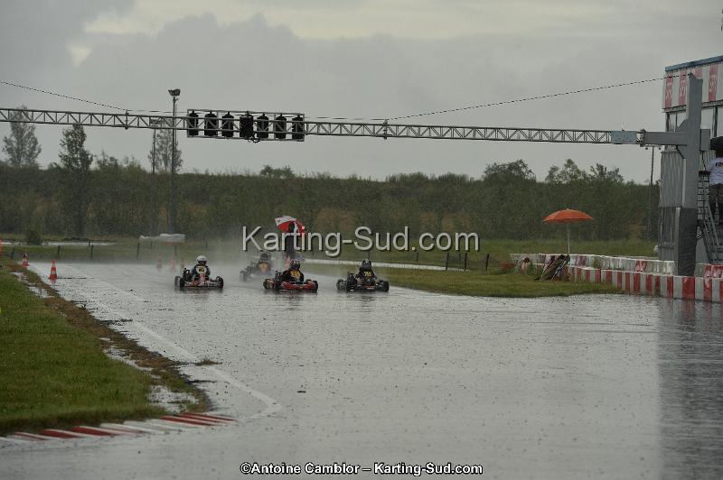 DSC_2508.jpg