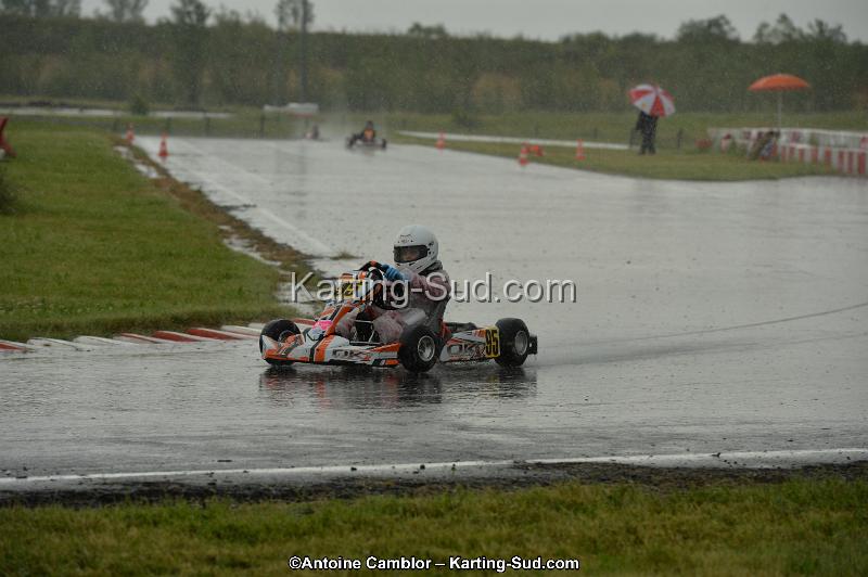 DSC_2517.jpg