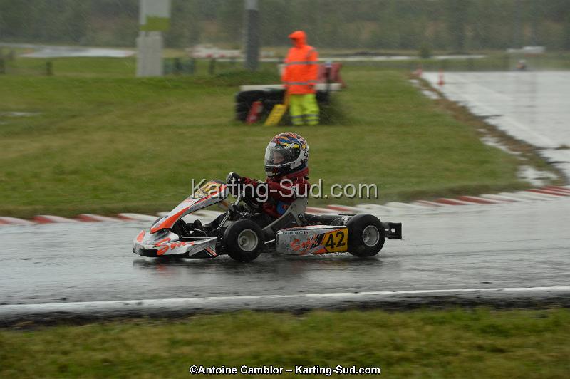 DSC_2519.jpg