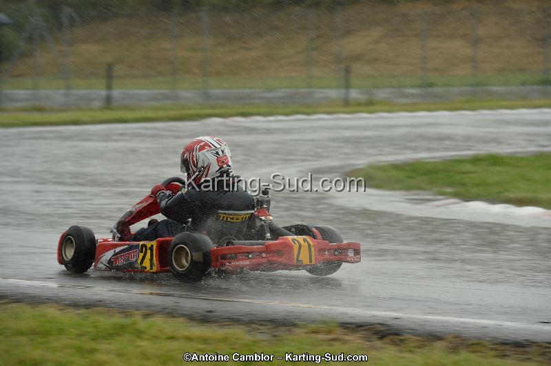 DSC_2523.jpg