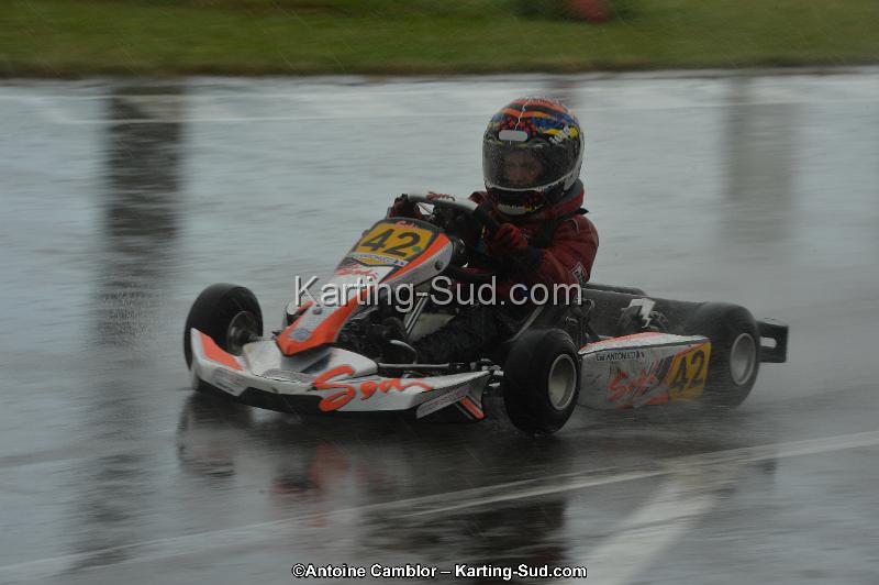 DSC_2529.jpg