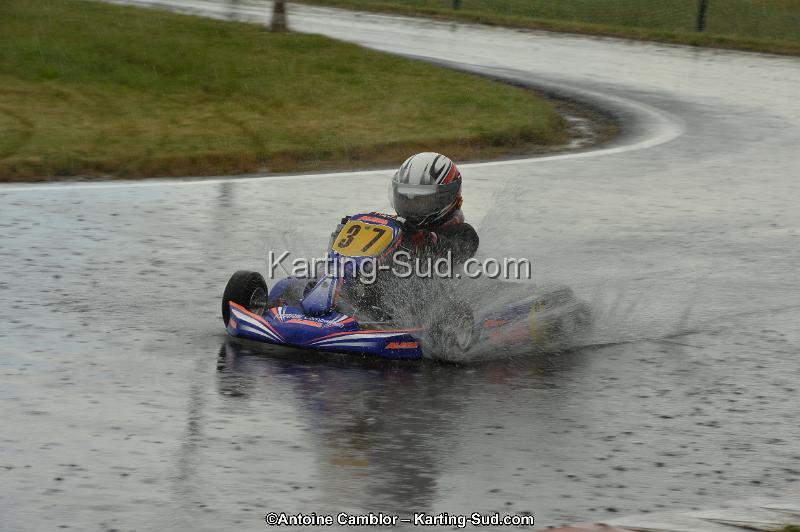DSC_2537.jpg