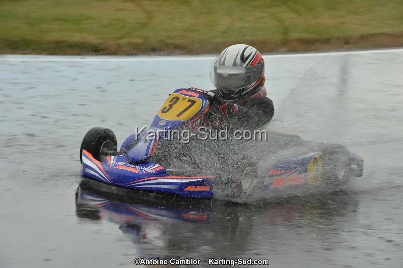 DSC_2547.jpg