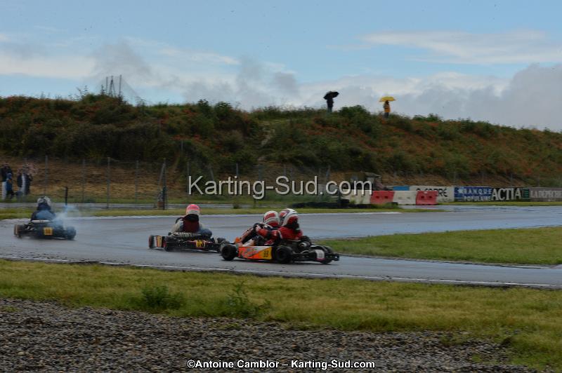 DSC_2608.jpg