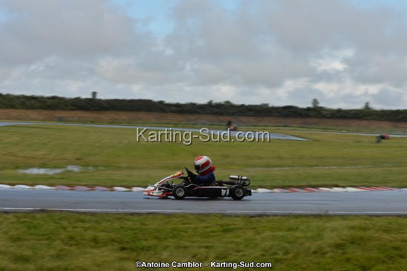 DSC_2610.jpg