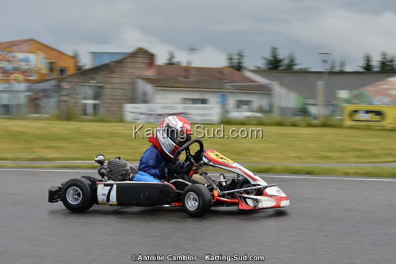 DSC_2652.jpg