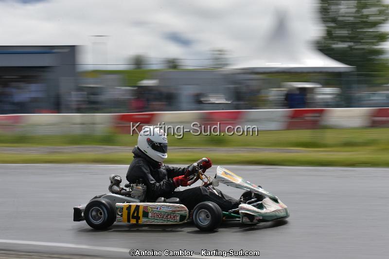DSC_2761.jpg
