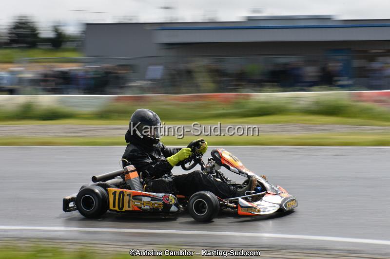 DSC_2768.jpg