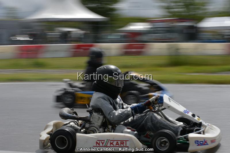 DSC_2781.jpg
