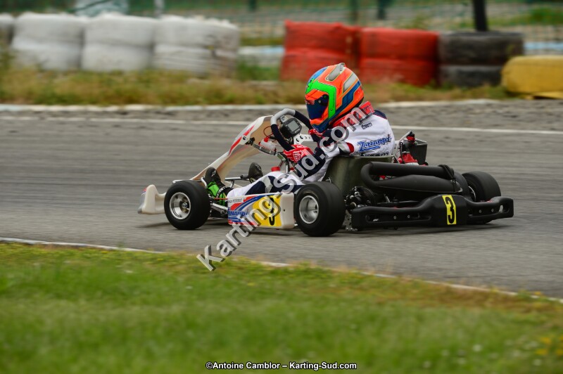 DSC_0176.jpg