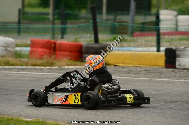 DSC_0177.jpg