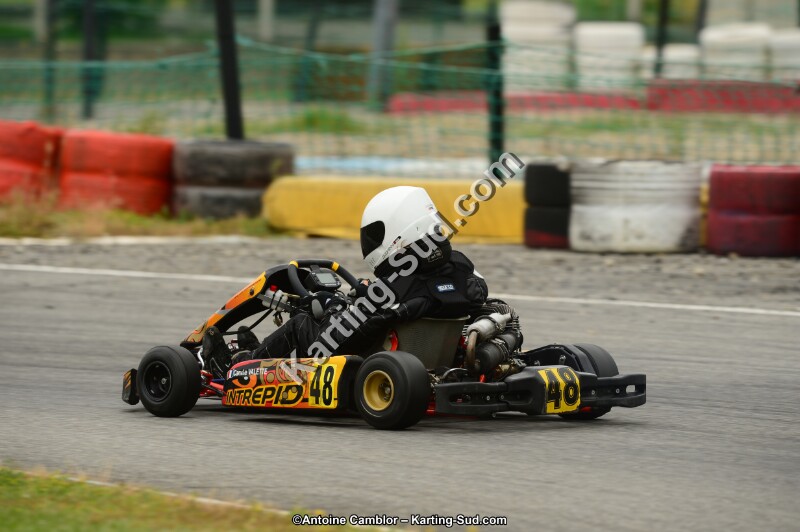 DSC_0178.jpg