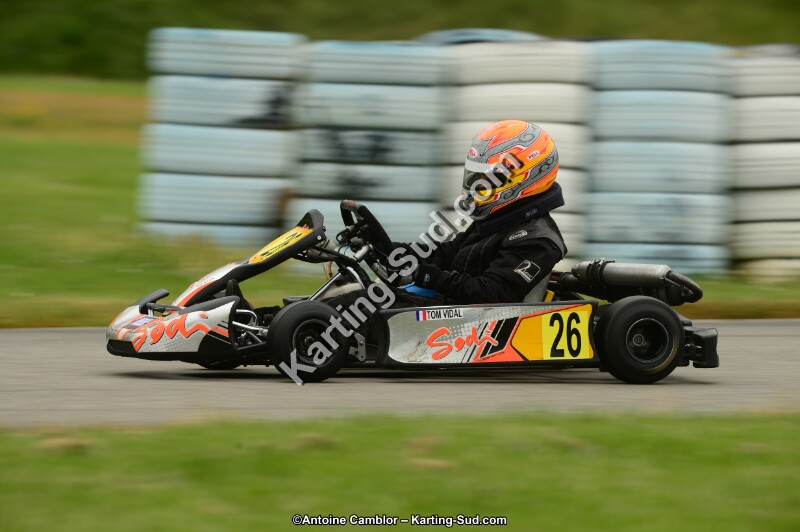 DSC_0203.jpg