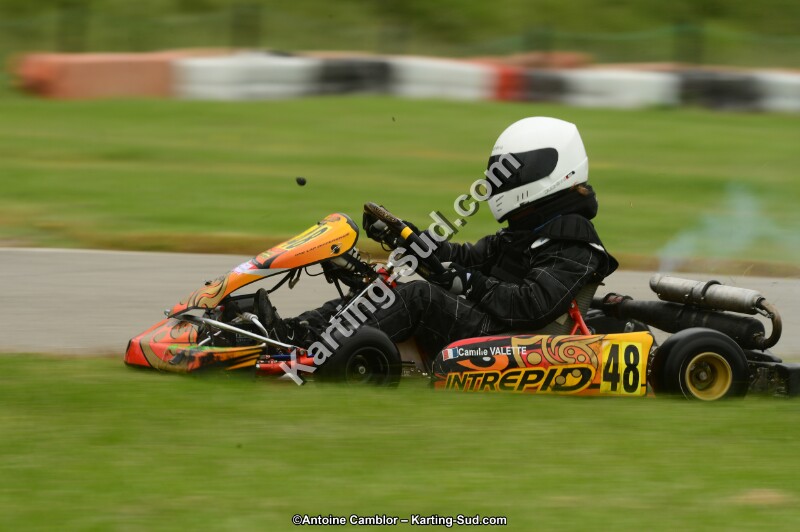 DSC_0214.jpg