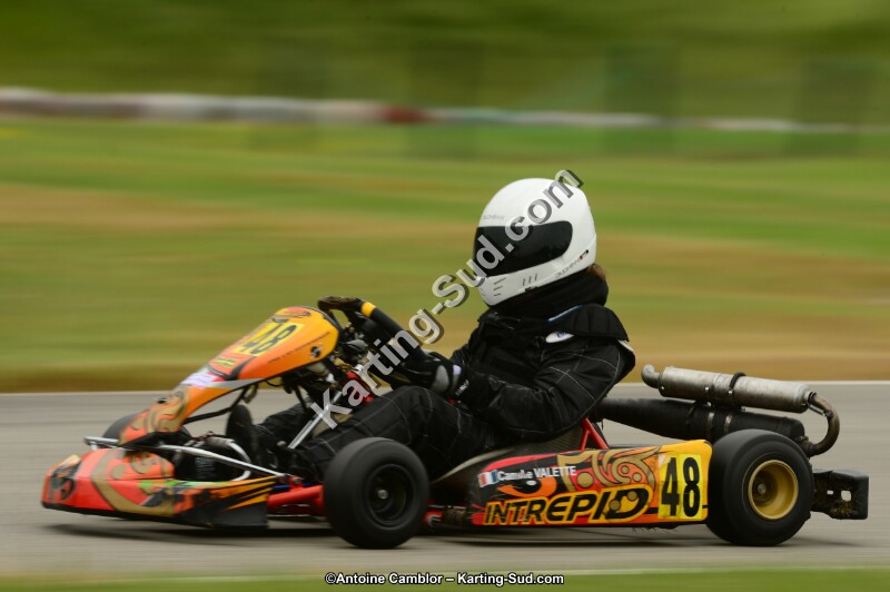 DSC_0225.jpg