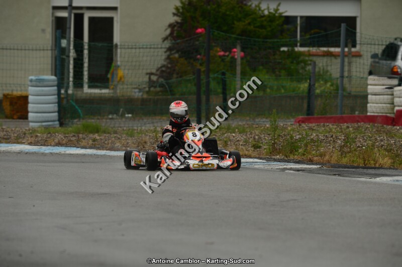 DSC_0263.jpg