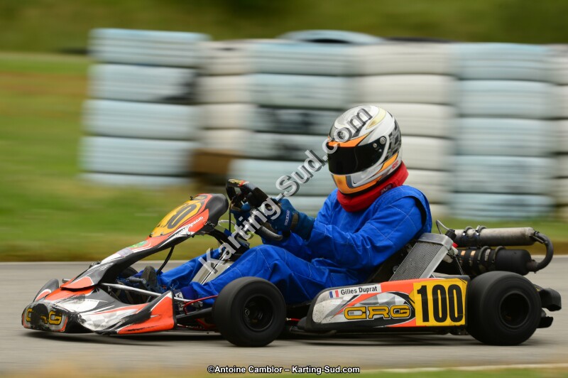 DSC_0484.jpg