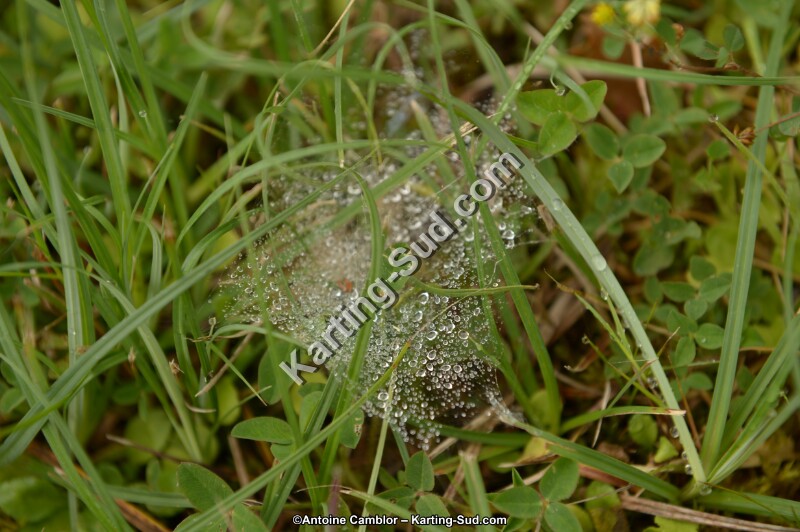 DSC_8120.jpg