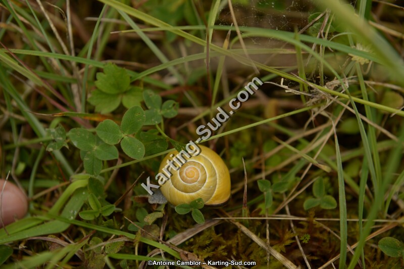 DSC_8122.jpg