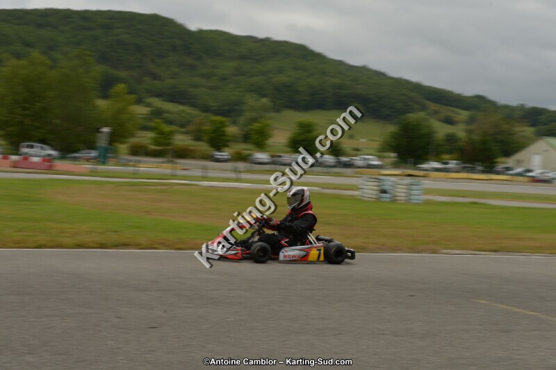 DSC_8131.jpg