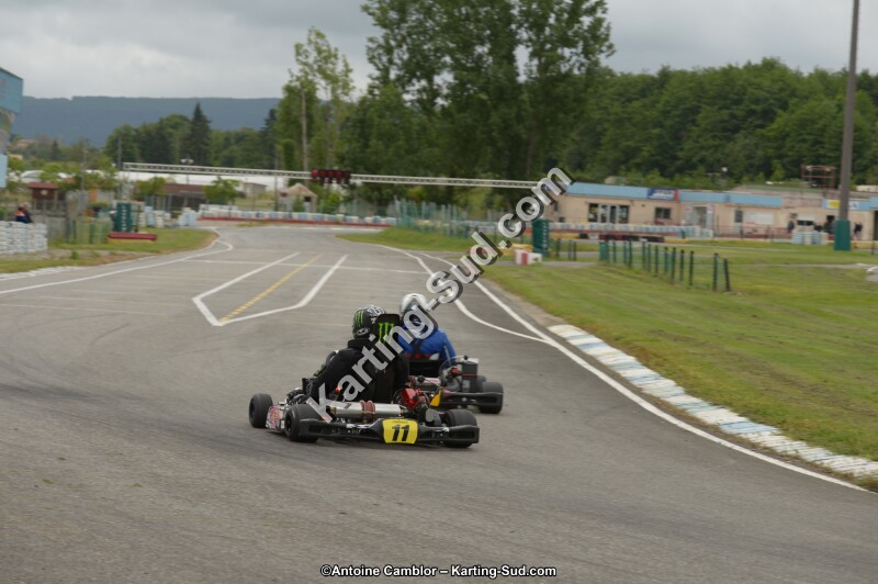 DSC_8173.jpg