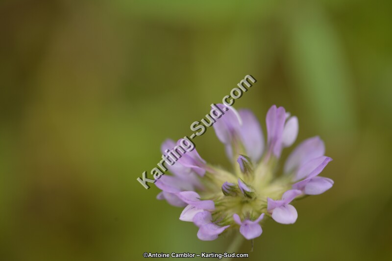 DSC_8252.jpg