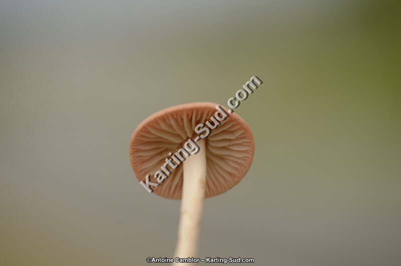 DSC_8262.jpg