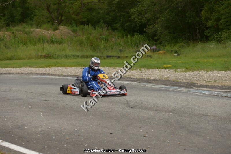 DSC_8264.jpg