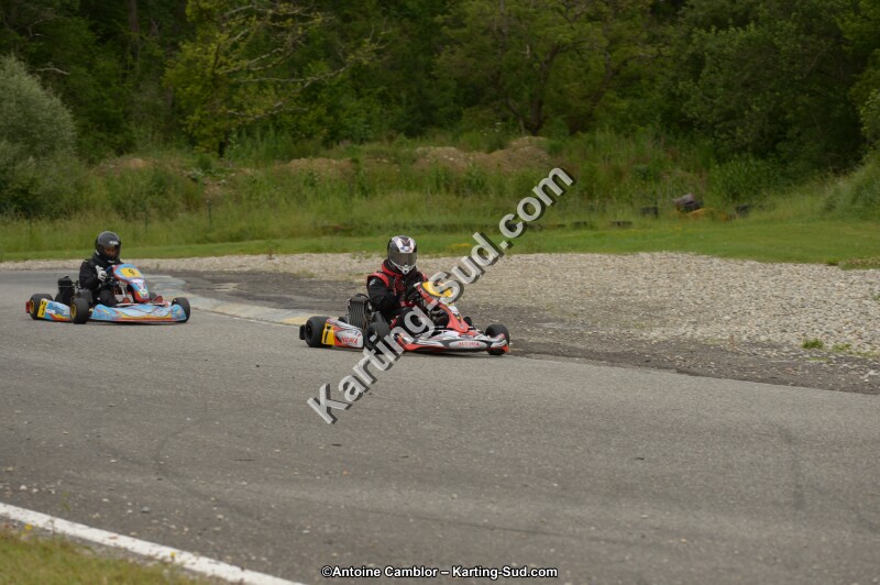 DSC_8268.jpg