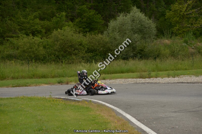 DSC_8274.jpg