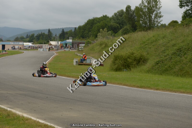 DSC_8286.jpg